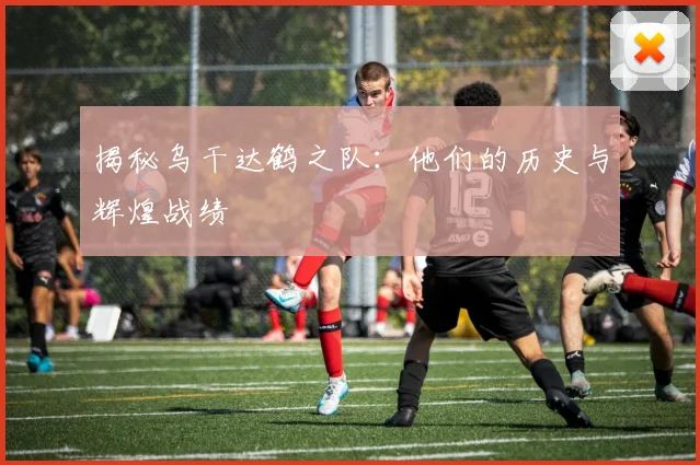 揭秘乌干达鹤之队:他们的历史与辉煌战绩